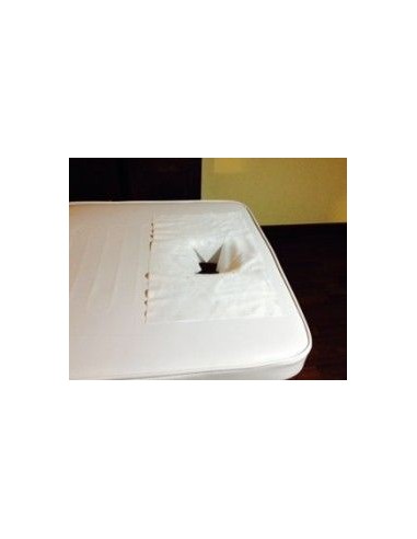 Copri cuscino tnt 40 x 30